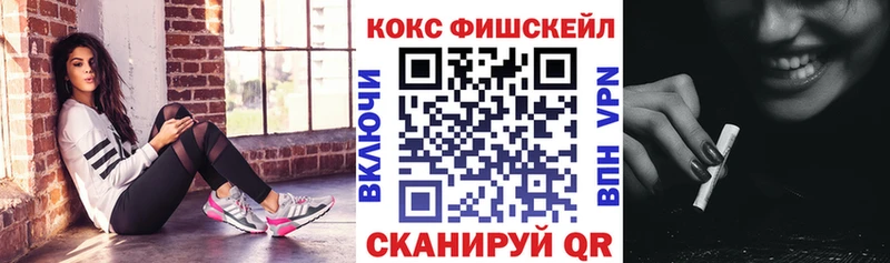дарк нет наркотические препараты  Новоузенск  КОКАИН Эквадор  цены  